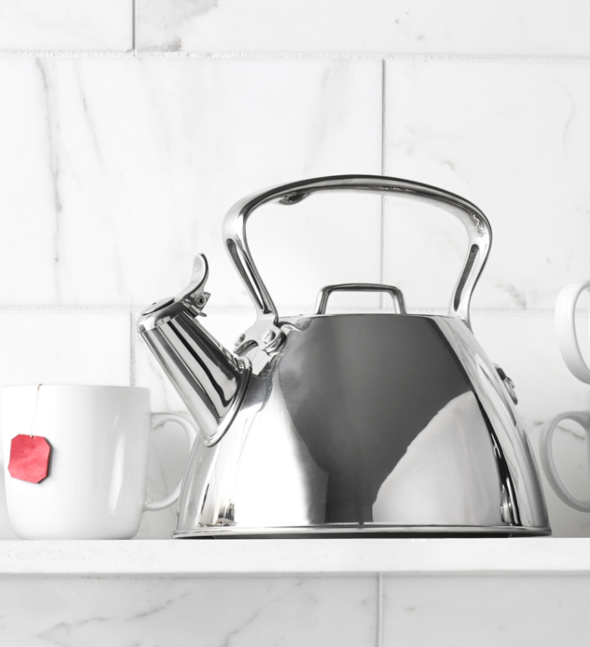All-Clad Stainless-Steel Tea Kettle