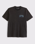 Carolina Panthers Graphic Tee - Vintage NFL Fan Shirt