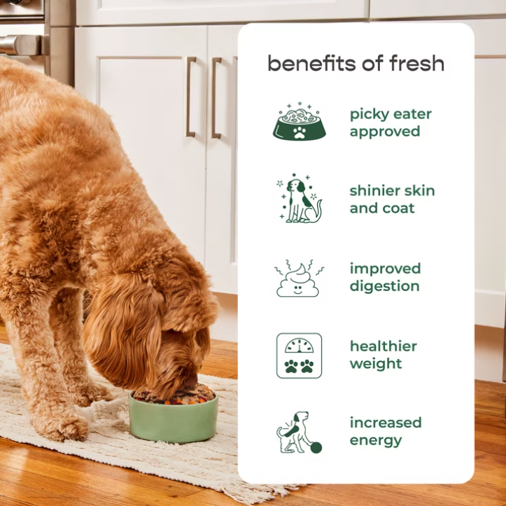 Freshpet Fresh Dog Food, Tender Chicken Recipe, Freshly Roasted Meals, 5.5 lb.