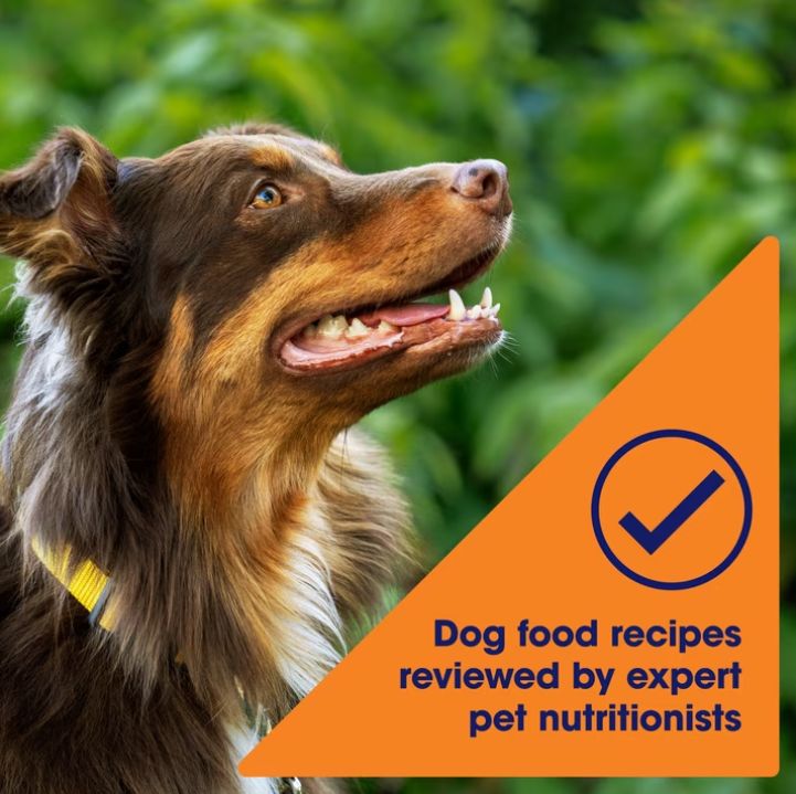 Nature's Recipe Grain Free Chicken, Sweet Potato & Pumpkin Dry Dog Food, 12 lb Bag