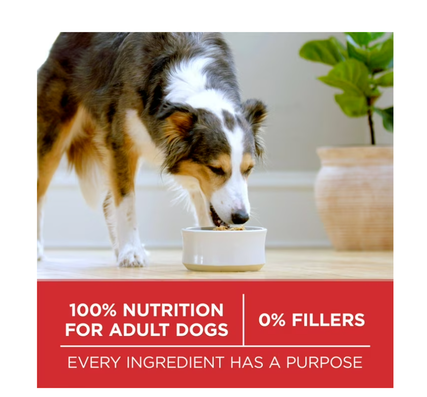 Purina One Dry Dog Food High Protein Microbiome Balance, Real Lamb & Rice, 16.5 lb Bag