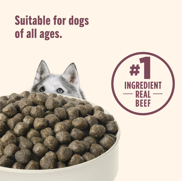 Nutrish High Protein Beef, Potato & Peas Recipe with Venison & Lamb Dry Dog Food, 12 lb. Bag (Rachael Ray)