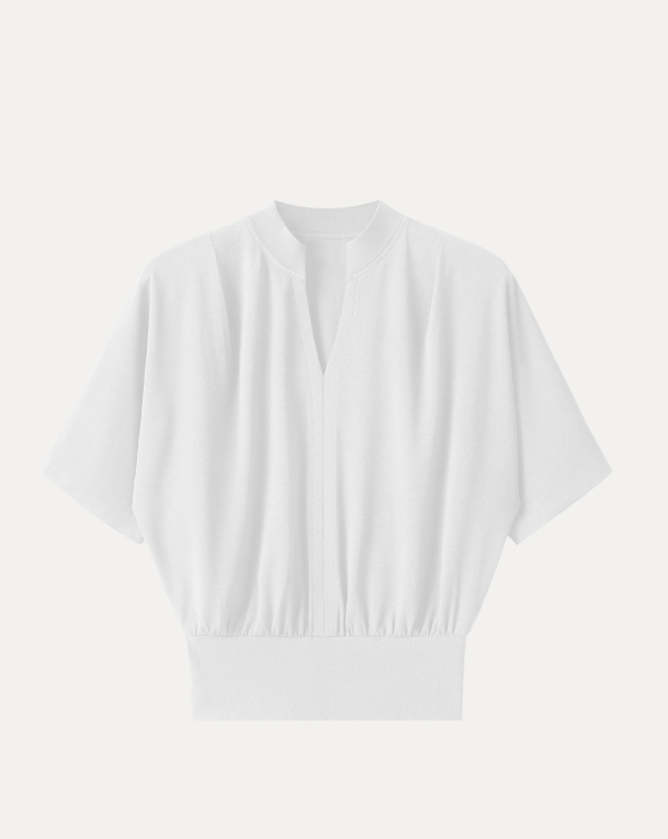 Stand Collar V-Neck Short Sleeve Top