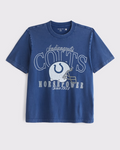 Indianapolis Colts Vintage Inspired Graphic Tee - Vintage NFL Fan Shirt