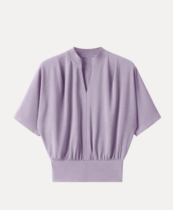 Stand Collar V-Neck Short Sleeve Top